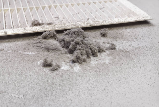Best Duct Cleaning for Homes  in Strawberry Plains, TN