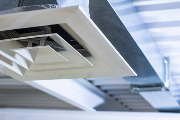 Best HVAC Duct Inspection Services  in Strawberry Plains, TN