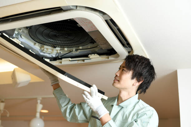 Best Local Air Duct Cleaning Services  in Strawberry Plains, TN